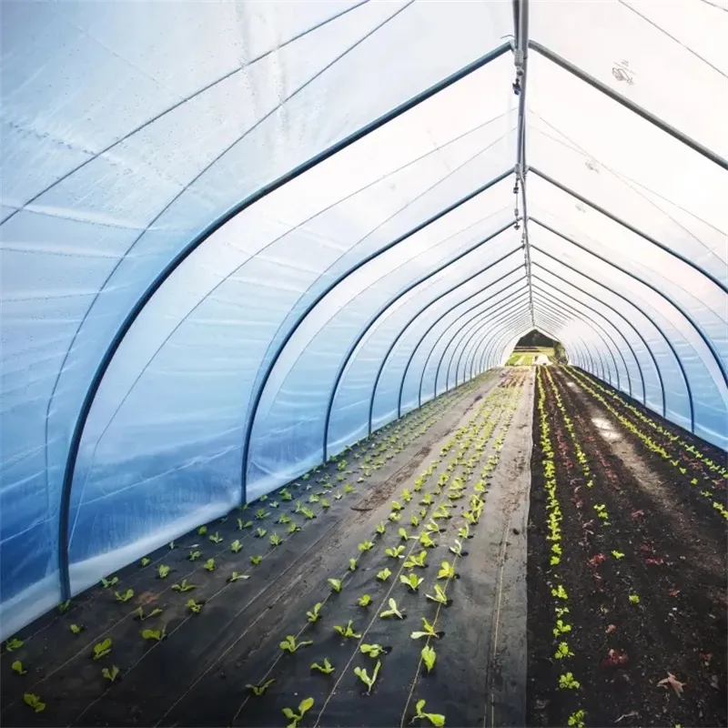 200 Micron UV Resistant LDPE Greenhouse Film