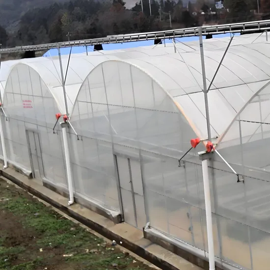 200 Micron Solar UV Block Agricultural Greenhouse Film